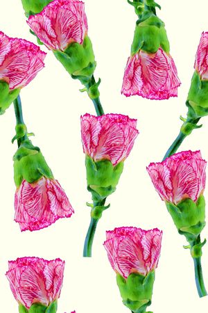 时尚抽象3D植物数码印花印花华亿平台图片