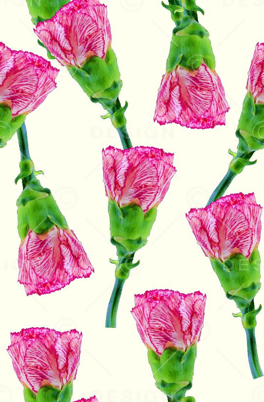 时尚抽象3D植物数码印花印花华亿平台图片