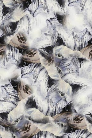 女装印花华亿平台图片