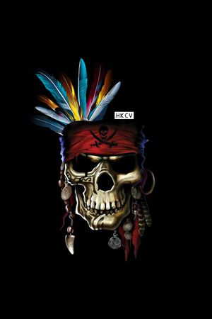 海盗骷髅印花华亿平台图片