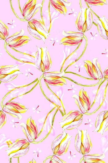 627908-热带雨林A