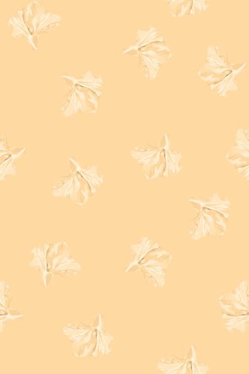 627909-热带雨林B