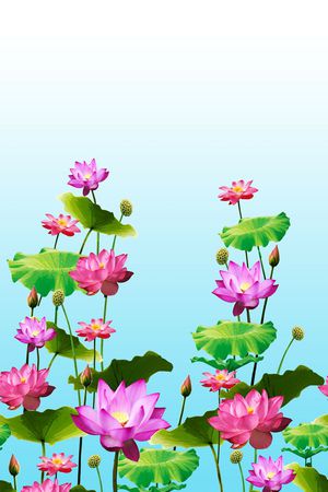 荷花印花华亿平台图片