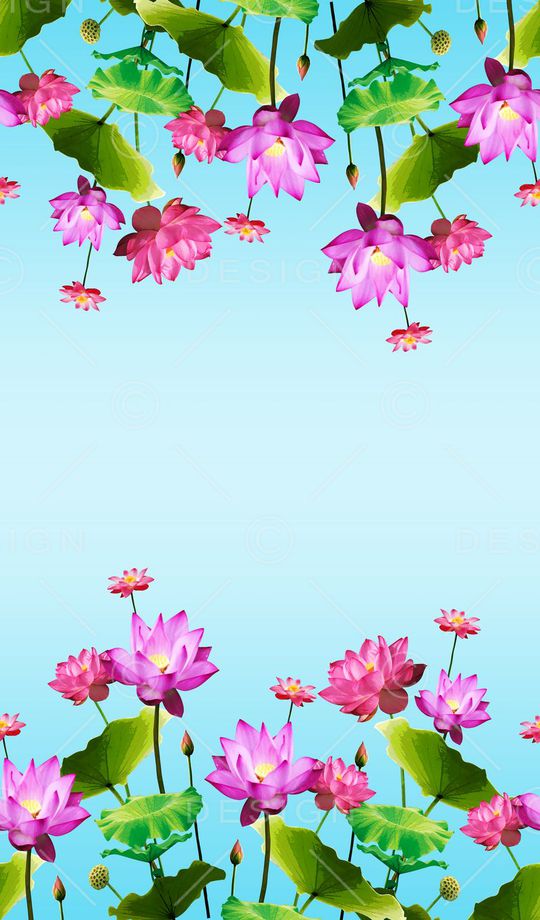 荷花印花华亿平台图片