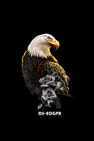 老鹰印花华亿平台图片