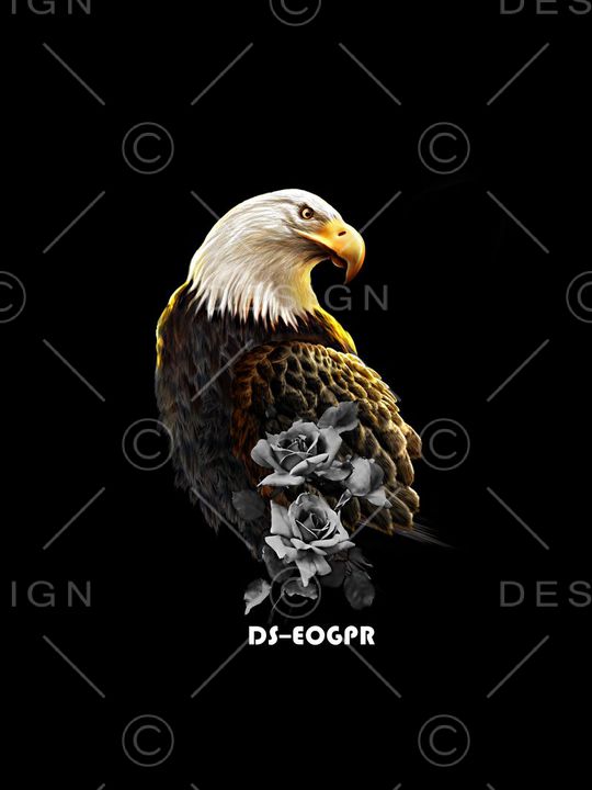 老鹰印花华亿平台图片