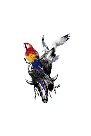 狼印花华亿平台图片