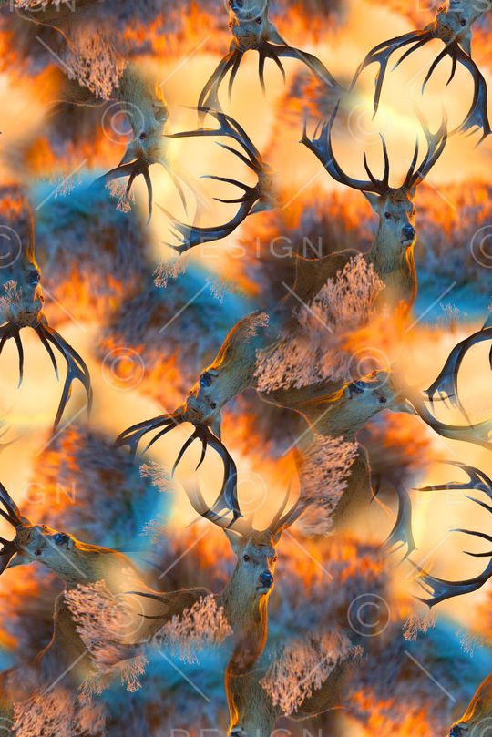 男装印花华亿平台图片