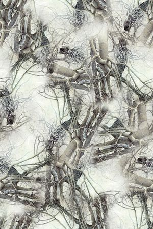 女装印花华亿平台图片