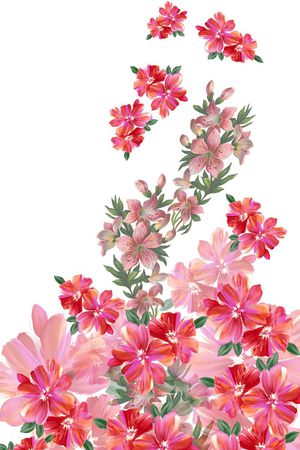 植物花卉印花华亿平台图片