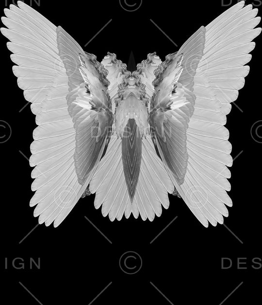 givenchy纪梵希印花华亿平台图片