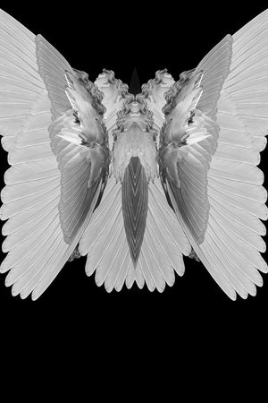 givenchy纪梵希印花华亿平台图片