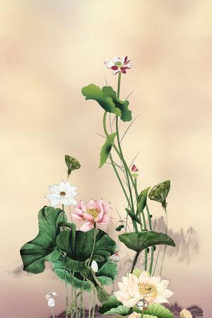 荷花印花华亿平台图片