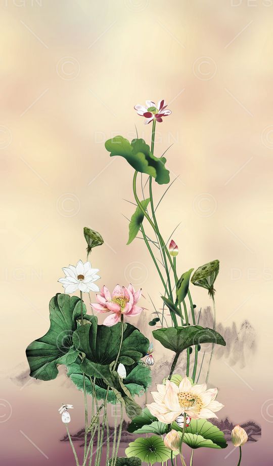 荷花印花华亿平台图片