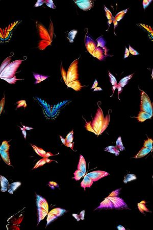 蝴蝶印花华亿平台图片