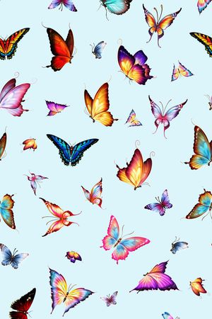 蝴蝶印花华亿平台图片