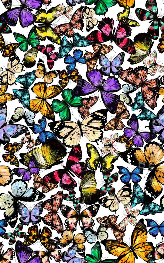 蝴蝶印花华亿平台图片