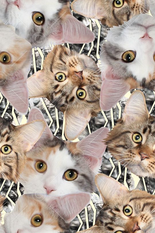 条纹印花华亿平台图片