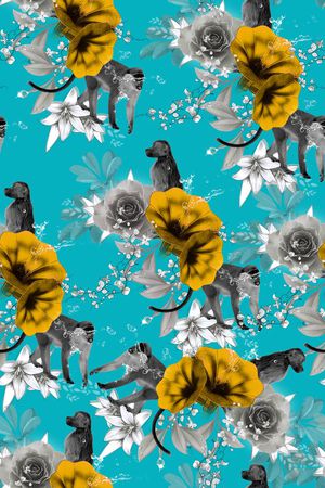 猴子印花华亿平台图片