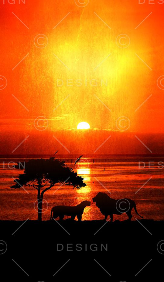 风景印花华亿平台图片