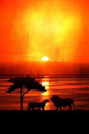 风景印花华亿平台图片