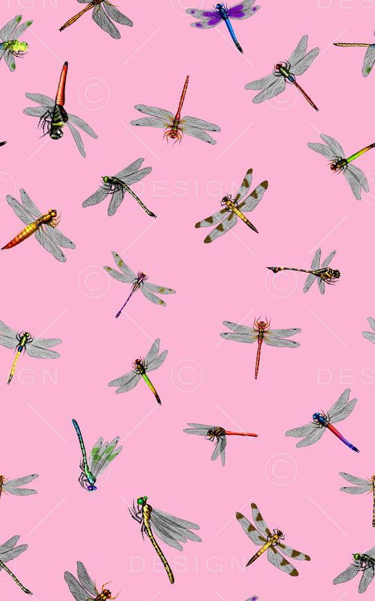 昆虫印花华亿平台图片