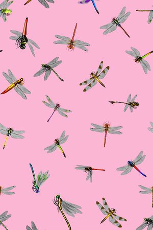 昆虫印花华亿平台图片