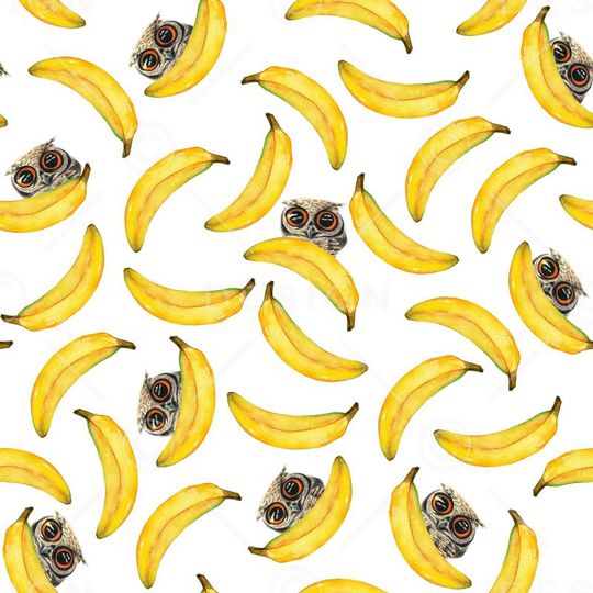 水果印花华亿平台图片