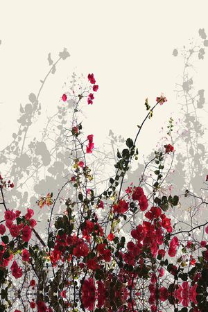 花朵印花华亿平台图片