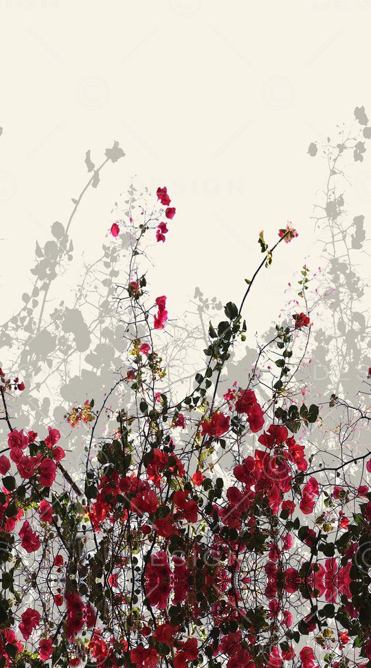 花朵印花华亿平台图片