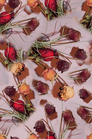 玫瑰印花华亿平台图片