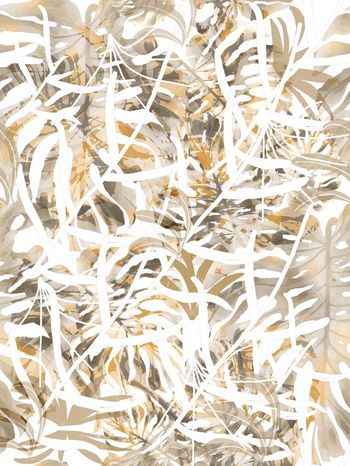 628527-hua  -134--001