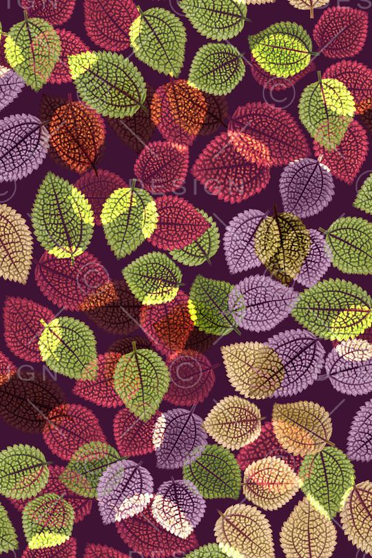 肌理印花华亿平台图片