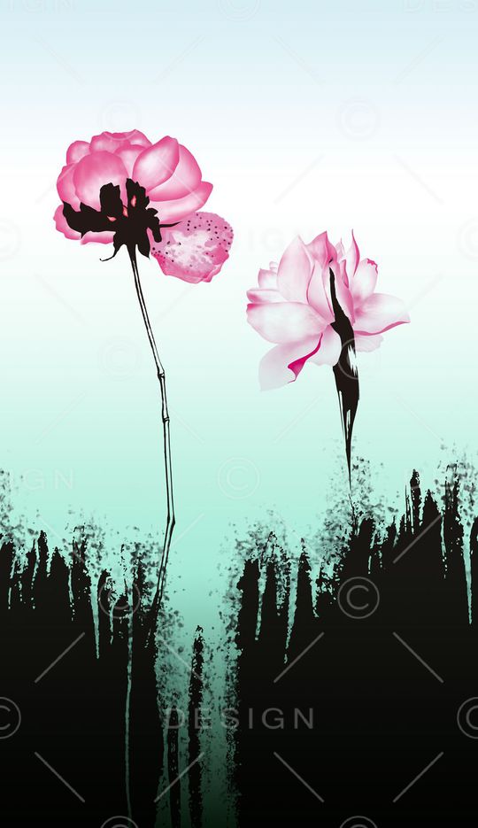 Fei-女装印花华亿平台图片