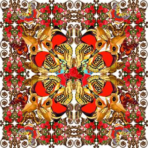 Butterflies印花华亿平台图片