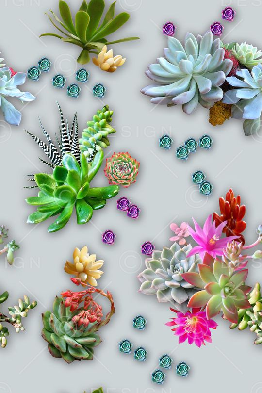 热带植物华亿平台印花华亿平台图片