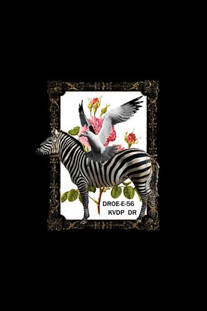 斑马印花华亿平台图片