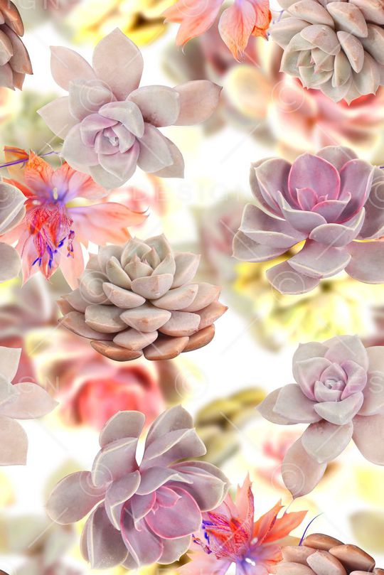 时尚潮流女装裙子数码印花印花华亿平台图片