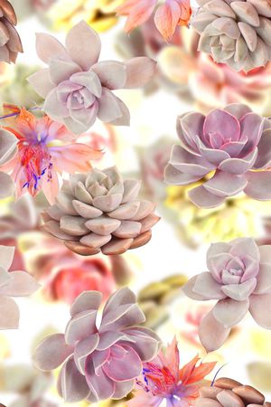 时尚潮流女装裙子数码印花印花华亿平台图片