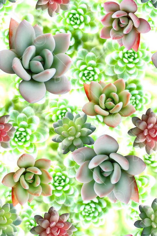 时尚潮流女装艳丽清爽数码印花印花华亿平台图片