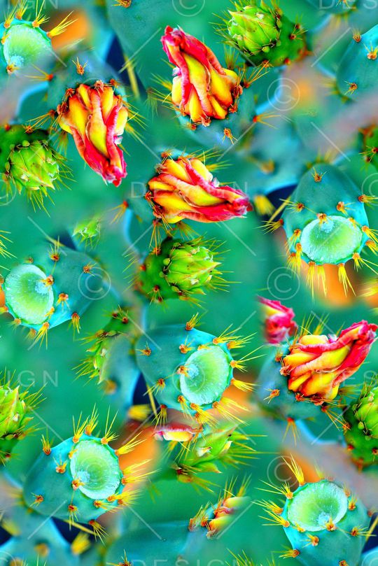 时尚潮流女装泳衣数码印花印花华亿平台图片