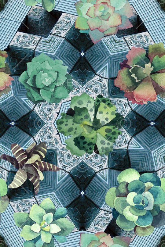 多肉印花华亿平台图片