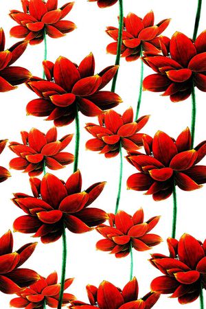 写意花卉印花华亿平台图片