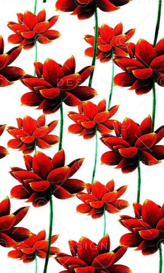 写意花卉印花华亿平台图片