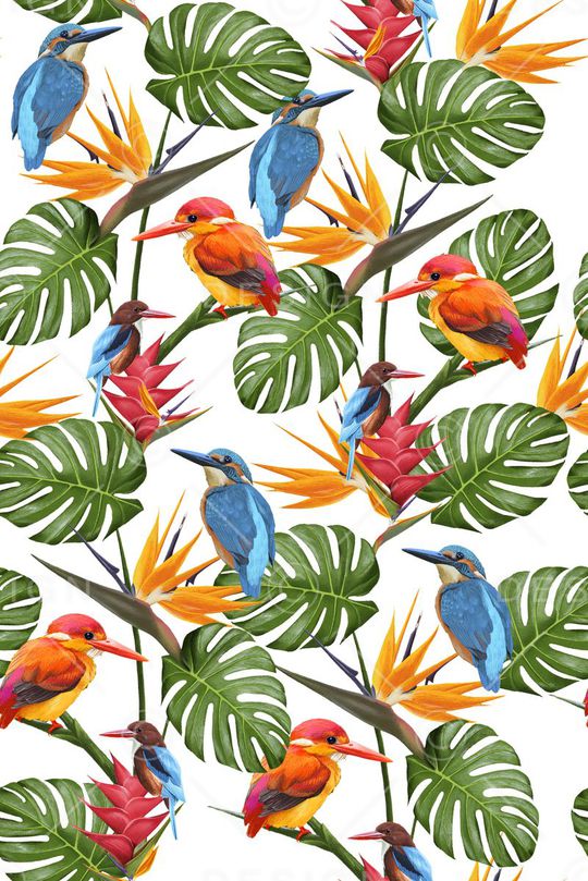 天堂鸟花印花华亿平台图片