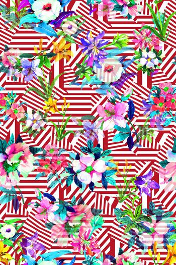 629172-几何 水彩花卉2