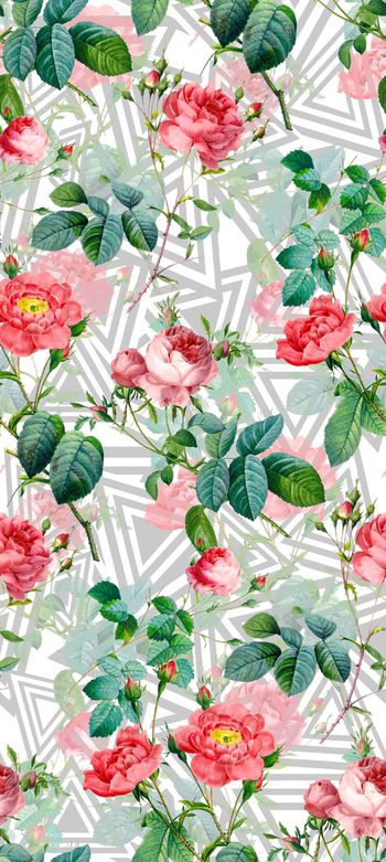 629175-几何玫瑰花-3