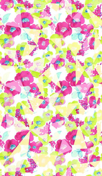 629177-清新几何 花卉花朵