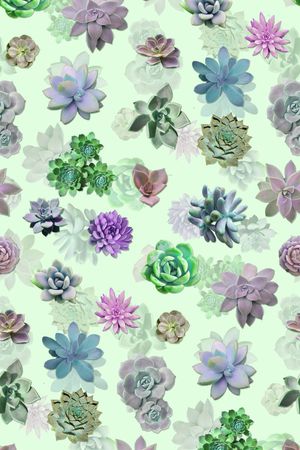 热带植物印花华亿平台图片