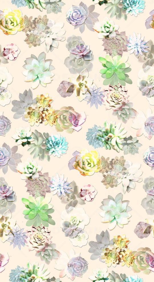 热带植物印花华亿平台图片